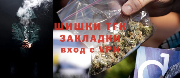 стаф Карпинск