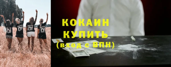 СК Каменногорск