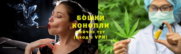 СК Каменногорск