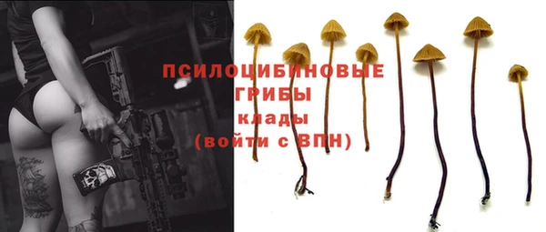 не бодяженный Каменка