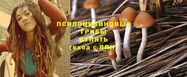 не бодяженный Каменка