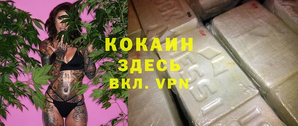 PSILOCYBIN Каменск-Шахтинский