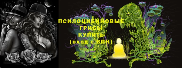PSILOCYBIN Каменск-Шахтинский
