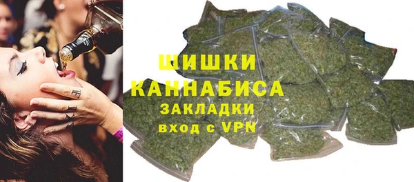 PSILOCYBIN Каменск-Шахтинский
