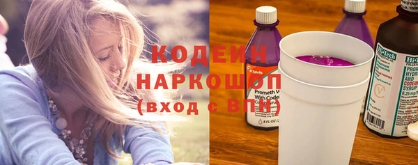 СК Каменногорск