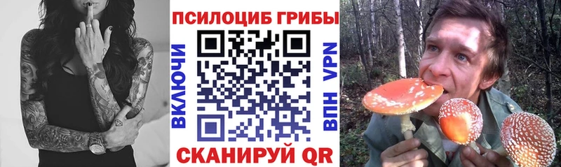 Купить  Дятьково  Псилоцибиновые грибы мухоморы 